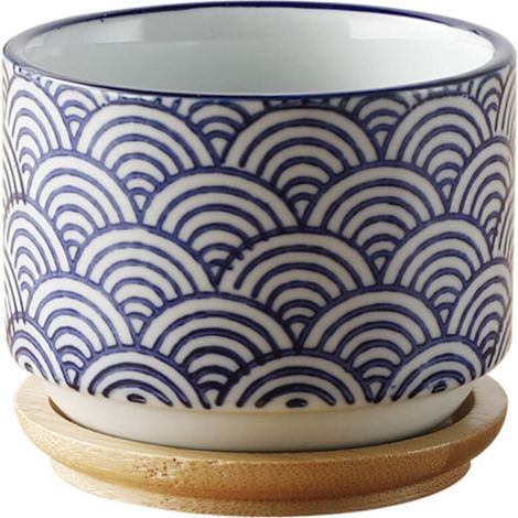Pots en Céramique 10 x 10 x 7,5 cm pour Succulentes - JINFGERNE - Avec Drainage et Plateau en Bambou - Idéal pour Décoration Intérieure et Plantes Grasses