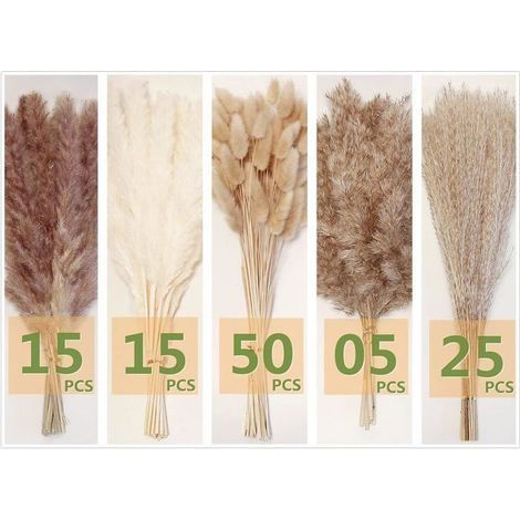 110 morceaux d'herbe de pampa avec des fleurs séchées en queue de lapin blanche, pour la décoration murale de la salle de bain (1/4)
