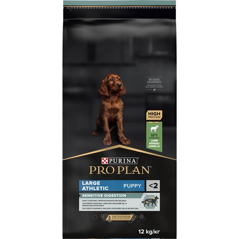 Croquettes pour chien large athlétique 12kg – Agneau de 1ère qualité – Prébiotiques pour digestion sensible – Jusqu'à 24 mois – Pro Plan (1/5)