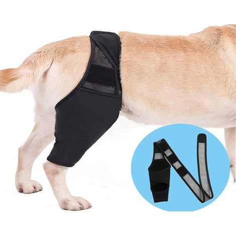 Attelle pour genouillère de chien, orthèse de soutien pour patte arrière en cas de rupture des ligaments croisés antérieur et latéral, meilleure récupération, orthèse réglable pour la patte arrière (1/5)