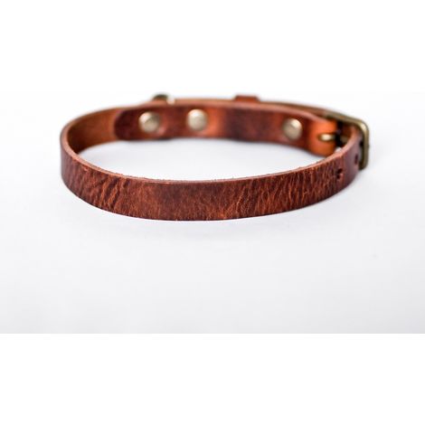 Collier pour Chien en Cuir Marron Classique Fait Main avec Boucle Argentée Antirouille - PANGIVO
