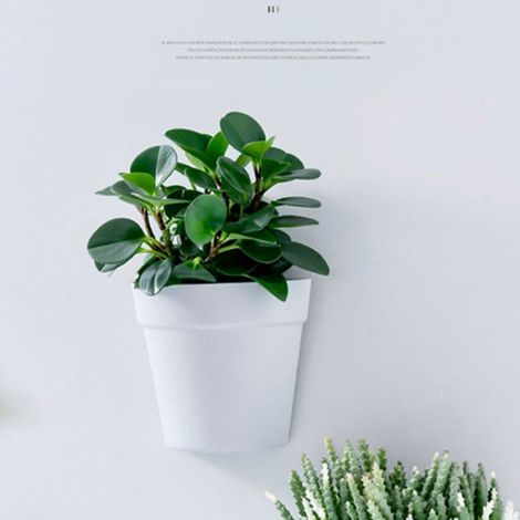 pot de plantes murales pour plante d'intérieur jardinière suspendue au mur Jardinière murale jardin fleur (1/4)