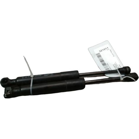 Verin Capot G RENAULT Zoe [PRODUIT D'OCCASION]♻️654707388r