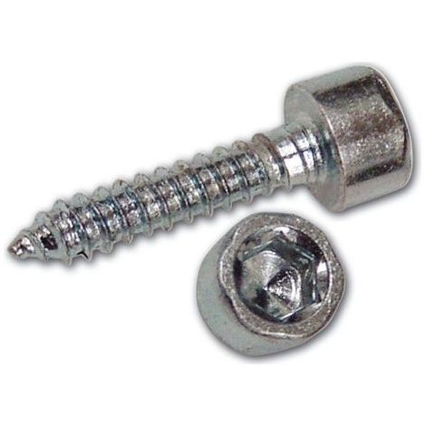 Viti per Metallo Zincate Autofilettanti TC Esagono Incassato 4,8x22 mm 500 pz (1/2)