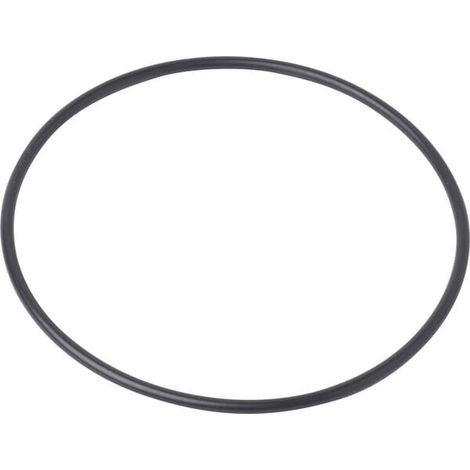 O-Ring RECINSA 4966231N