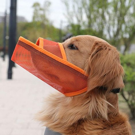 Protège-dents TRoki confortable et respirant pour chien : une muselière permettant de boire et de manger librement, sans irritation (1/5)