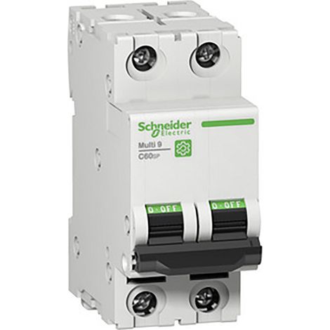 Interruptor Schneider Electric c60sp 6A 2 polos curva D