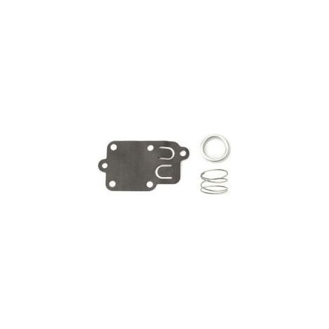 Membrane carburateur Briggs et Stratton (1/4)