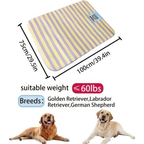 Cooling Mat for Pets - Blue & Yellow Striped Design, Soft Polyester, Purple Trim, 100x75 cm