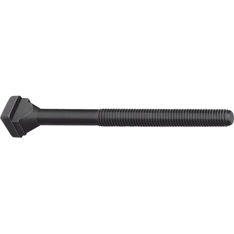 Vite cava a T (DIN 787) cava a T 12mm M12 L.50mm qualità 10.9 AMF