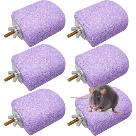 Arbre à chat pour hamster - ensemble de 6 pièces - violet - base en pierre ponce - escalier - accessoires pour cage (1/5)