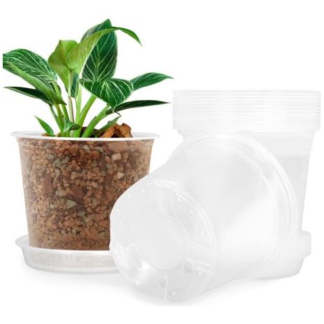 BUNTHAUS Cinq pots de pépinière transparents de 12,5 cm avec soucoupes et trous de drainage emballage polyvalent pour l'intérieur et l'extérieur. (1/5)