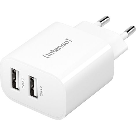 Cargador de Pared INTENSO W24AA 24 W Blanco (1/4)