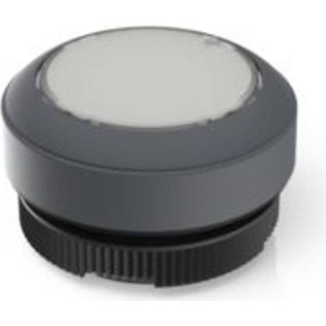 RAFI 1.30.270.901/2207 RAFIX 22 FS Pulsante illuminato Momentaneo (L x L x A) 29.8 x 29.8 x 18.5 mm 1 pz.