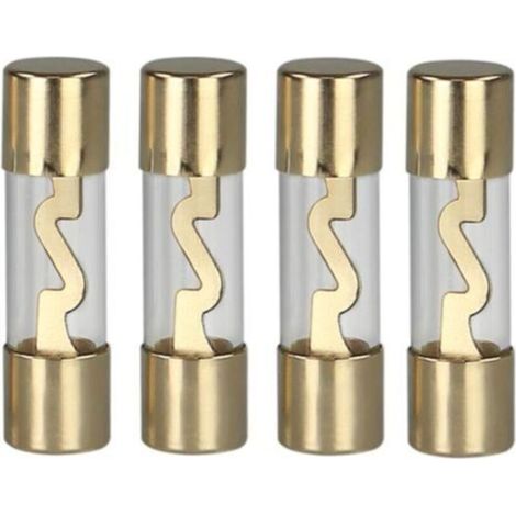 4x Fusibles AGU en verre 10A (1/2)