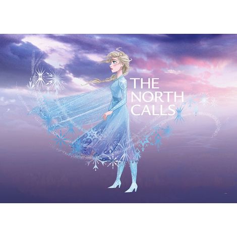 Poster Disney La Reine des Neiges 2 - Elsa l'appel du nord 70 cm x 50 cm (1/3)