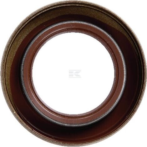 Anillo obturador SDF DEUTZ 2237010 (1/2)