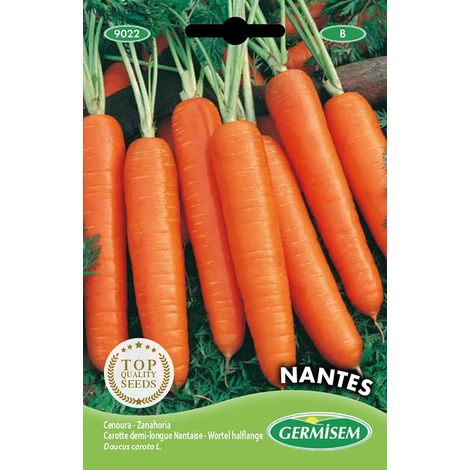 graines Carotte demi-longue Nantaise NANTES