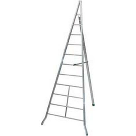 1PZ SCALA TRIANGOLARE AGRI IN ALLUMINIO D.LGS. 81/08 - 6 gr. cm.250h. Kg.5,70 (AG250)
