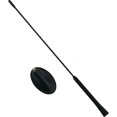 Antenne de Voiture 41 cm Raku 2 amplificateur Radio antenne Radio de Toit pour Transit Mondeo Fiesta KA Kuga Focus C-Max 1508144 1087087