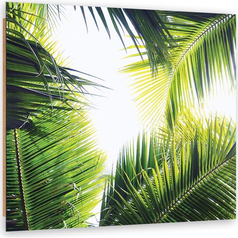 Quadro deco panel, foglie di palma - 30x30 (1/5)