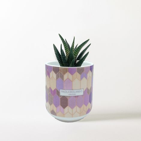 Pianta grassa vera in vaso ceramica artigianale Hula-Hop Largo - Beige