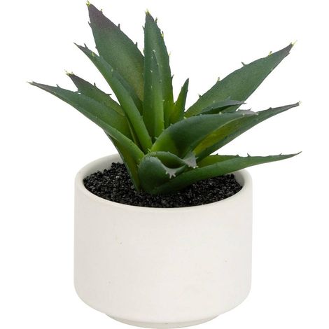 Pianta grassa in vaso H13 - Modello b bianco - Atmosphera créateur d'intérieur