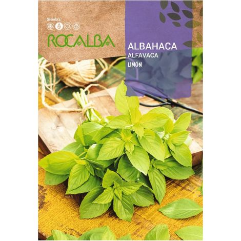 Rokalba Albahaca Limon Blle 2G Samen