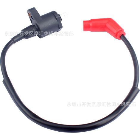 Bobine d'allumage haute tension compatible avec HONDA TRX250EX RECON 250 Fourtrax RX300 et CDI (1/4)