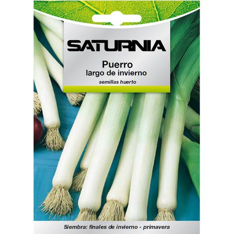 Semillas Puerro Largo De Invierno (3 gramos) Semillas Verduras, Horticultura, Horticola, Semillas Huerto. (1/2)