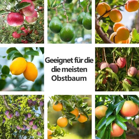 Scala per la raccolta della frutta, raccoglitrice di frutta mobile, raccoglitrice di frutta in acciaio inossidabile da 3,2 m, raccoglitrice di ciliegie, raccoglitrice di mele, raccoglitrice di frutta, (1/4)