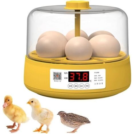 Incubateur d'œufs de poulet à écran numérique LED pour volaille,Incubateur pour œufs,Rotation automatique,Contrôle numérique intelligent de la température,Coffret cadeau pour enfants,6 œufs