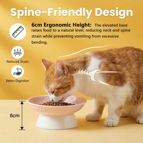 Gamelles surélevées pour chats — Gamelles en céramique pour nourriture et eau. Dotées d'un design incliné pour soutenir la colonne vertébrale et minimiser les renversements. (1/5)