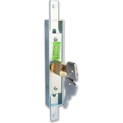 Cisa 41650-00-0 Serratura Cancellet.Estens