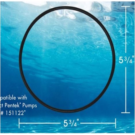 Accessoires de piscine compatibles avec les cartouches de filtre de remplacement à joint torique 151122 et les joints d'étanchéité. (1/5)