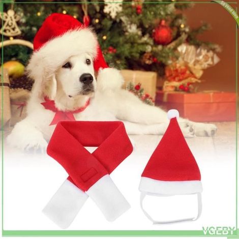 chapeau de Père Noël pour animaux de compagnie chapeau de Père Noël pour chien Couvre-chef animalerie manteau (1/4)