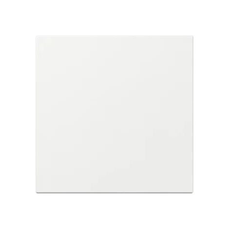 Gira Wippe 349603 gerade Sys.55 rws
