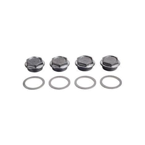 Bosch Bouchon d'étanchéité G 1 1/2 pouces (4 pièces), 8718544963