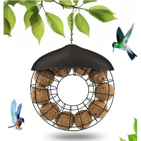Support pour boules de graisse, mangeoire pour oiseaux, distributeur de nourriture pour oiseaux en métal, porte-boules de graisse à suspendre, support pour boules de maïs, distributeur de (1/5)