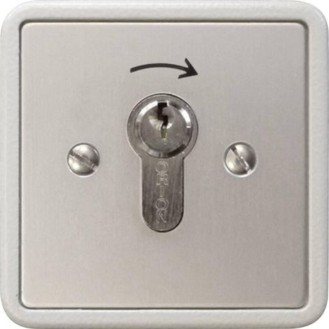 Kaiser Nienhaus Interruptor con llave de aluminio empotrado 322700