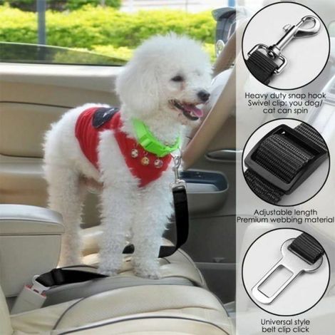 Laisse Ceinture De Sécurité Pour Animaux - Nylon Résistant - Ajustable 37 À 66 Cm - Largeur 25 Mm - Noir - 1 Pièce (1/4)