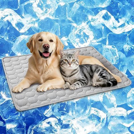 Kühlmatte für Hunde – 62 x 50 cm – Grau, Größe M – Selbstkühlende Hundematte ohne Strom – Maschinenwaschbar – Für Rasen/Käfig geeignet – Grau, Größe M (1/5)