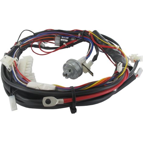 CABLAGGIO NJ92 (B&S-KOH) ISO ORIGINALE STIGA - 182040201/0