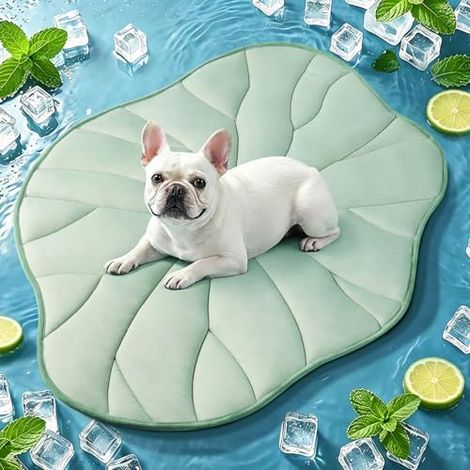 Tapis Rafraîchissant Chien Chat, Réversible, Auto, Arc-Chill, Lavable, Nomade, Cage Canapé, Extérieur (1/5)