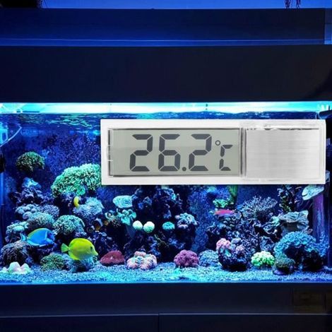 EECOO Aquarium-Thermometer, elektronisches, transparentes 3D-LCD-Digitalthermometer zur Messung der Aquariumwassertemperatur (1/4)