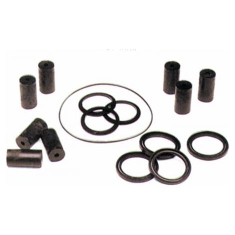 KIT RIPARAZIONE PER POMPA IRRIGAZIONE FERRONI MT300 LT/MIN (39850)
