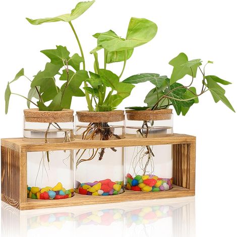 Station de propagation de plantes transparente avec support en bois rétro, décoration de terrarium en verre avec 3 vases, support de plantes de bureau pour culture hydroponique, maison (1/5)