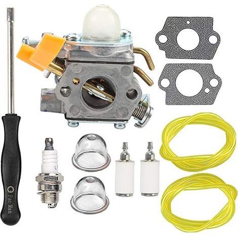 Conjunto de carburador 308054043 compatible con RY09800 RY28021, suministrado con manguera de aceite, filtro de aceite y destornillador de ajuste incluidos. (1/4)