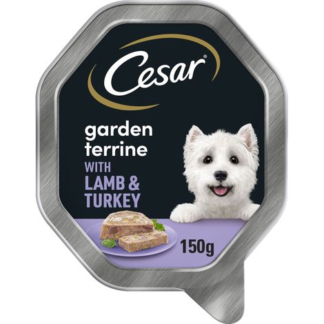 Cesar Garden Terrine Wet Dog Food with Juicy Lamb and Turkey - 730497 (1/5)