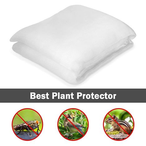 Voile anti-insectes larg 2,5 m, L 6 m (1/5)
